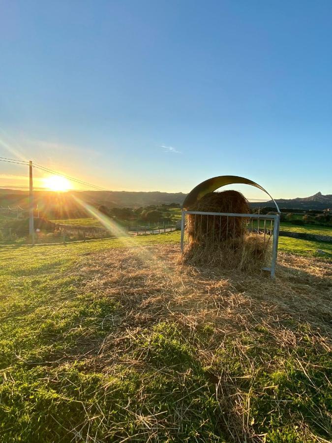 Agriturismo Lu Branu Арцакена Екстер'єр фото