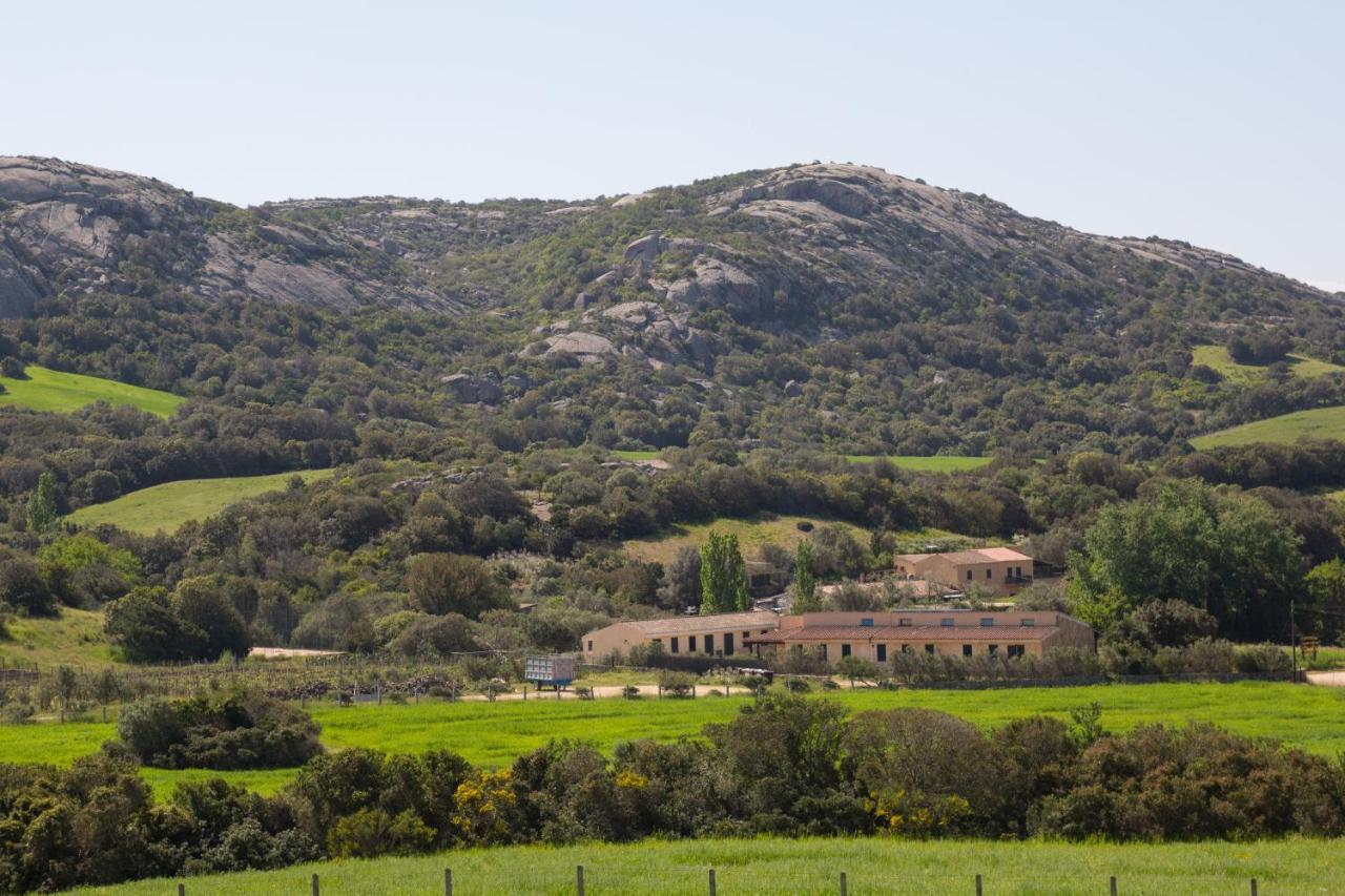 Agriturismo Lu Branu Арцакена Екстер'єр фото