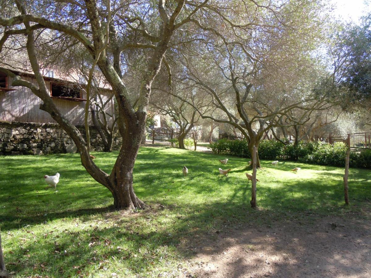 Agriturismo Lu Branu Арцакена Екстер'єр фото
